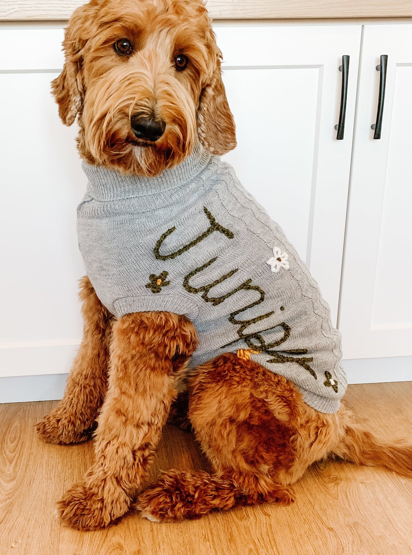 Custom Pet Knit Sweater